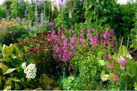 Nápady na záhonovou zahradu Jak pěstovat záhonovou zahradu