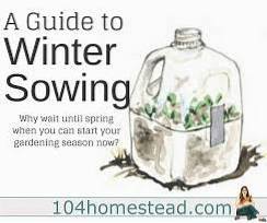 Průvodce zimním výsevem - tipy na zimní výsev semen květin